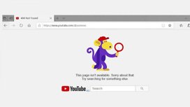 Хинштейн: YouTube сам "стреляет себе в ногу" Хинштейн: YouTube сам "стреляет себе в ногу"