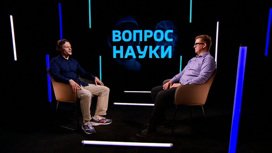 Telegram удалил порнографический контент по запросу Южной Кореи