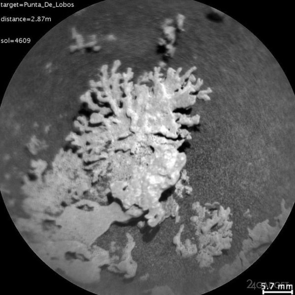 Марсоход NASA Curiosity нашёл на Марсе &laquo;коралл&raquo; возрастом в несколько миллиардов лет (2 фото)